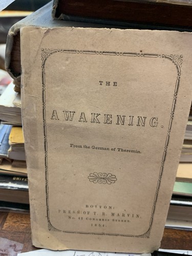 The awakening from - the, german