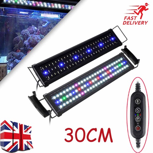 Aquarium fish tank - fish, led