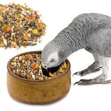 Parrot Essentials African Grey