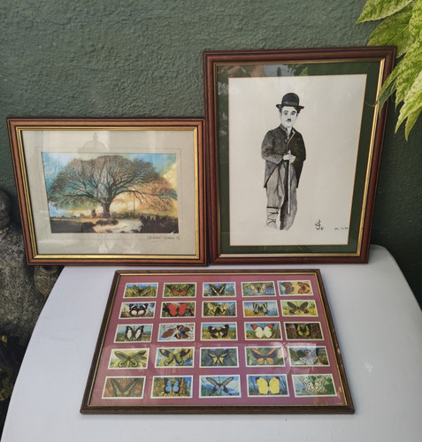 Job lot picture photo frames - photo,