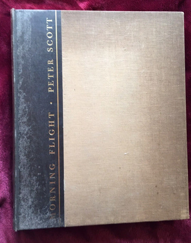 Peter scott signed 1936 - -,