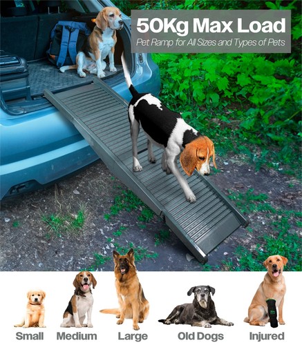 Bestfor dog pet ramp - dog,