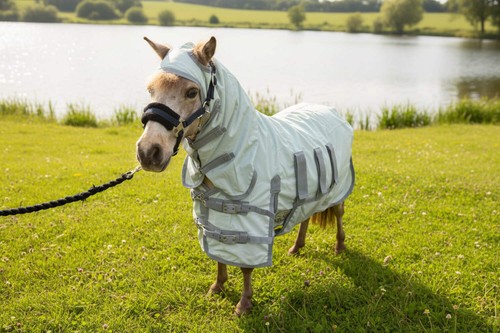 Ruggles fly rug combo for - ruggles,