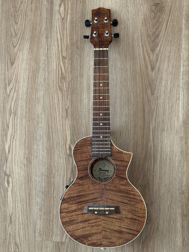 Ibanez electro acoustic - ibanez, electro-acoustic
