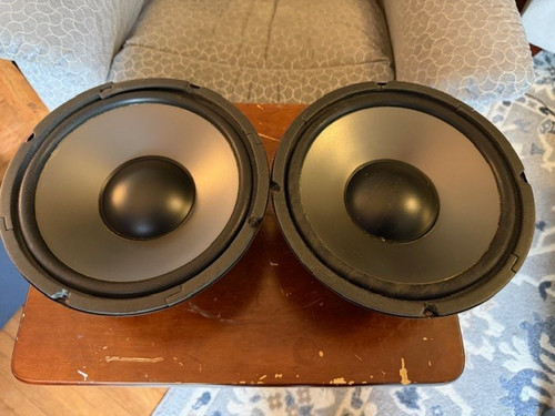 Polymer cone fostex - cone,