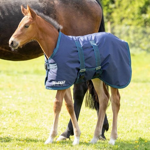 Shires tempest original 200g - shires,
