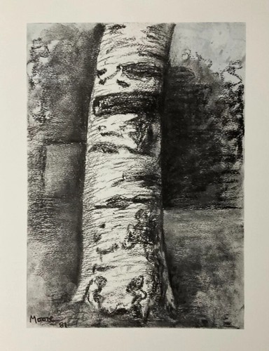 Henry moore beech tree - henry, "beech