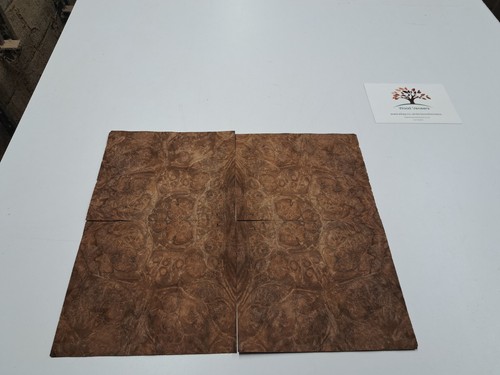 Burr walnut veneer 4 - walnut,