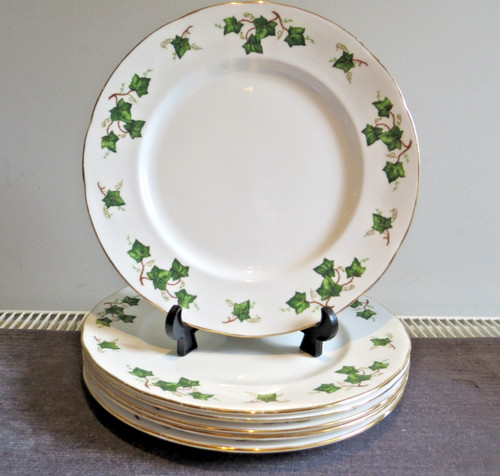 Six colclough ivy - ivy, leaf