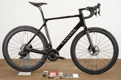2024 canyon endurace - 2024,