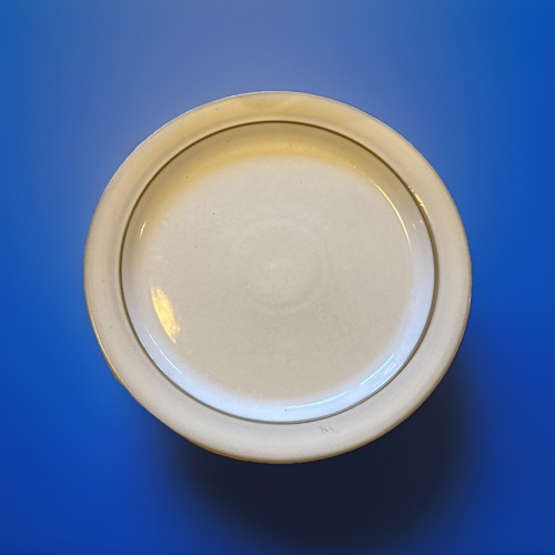 Denby linen dinner plate 6 - denby,