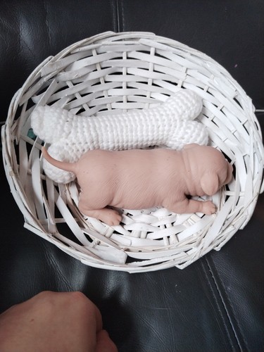 Solid silicone reborn puppy - reborn,