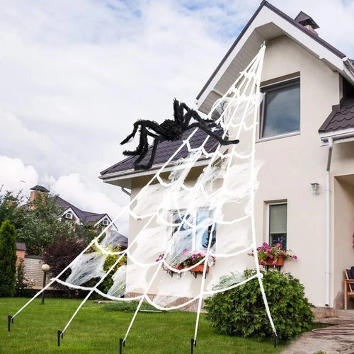 Halloween triangle spider web - halloween,