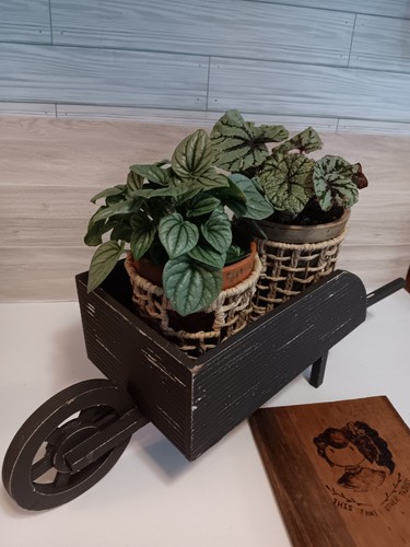 Hobby lobby wooden distressed - hobby,