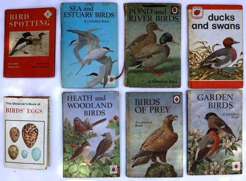 Vintage bird books bundle - vintage, 6