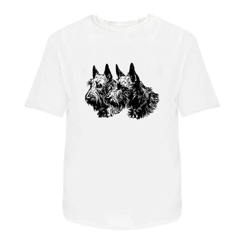 Scottish terrier couple - 'scottish,