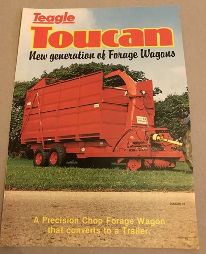 Teagle toucan forage - toucan,