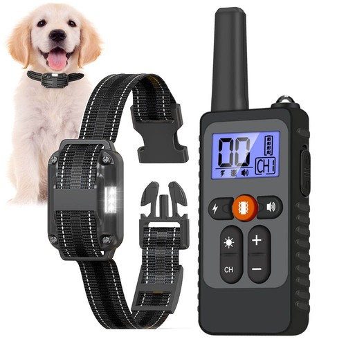 3300 pet dog training - dog,
