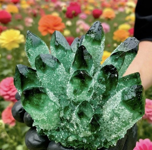 New find green - green, phantom