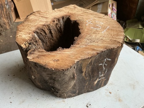 Hollow log decorative - hollow, log,decorative