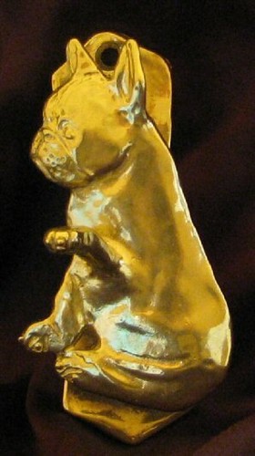 French bulldog frenchie solo - french,