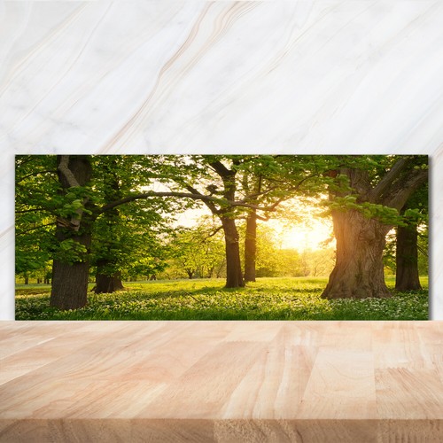 Kitchen glass splashback - kitchen,