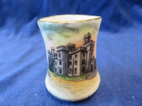 Nautilus crested china small - nautilus,