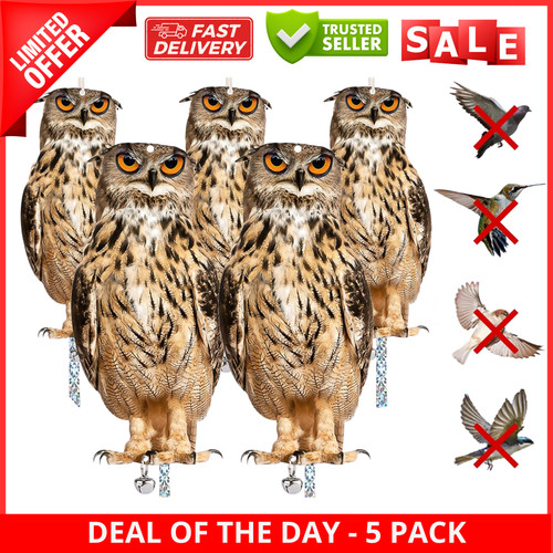 5pcs owl bird scarer - 5pcs,