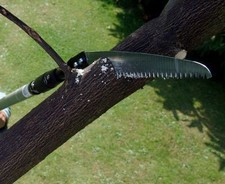 Darlac swop top sabre tooth - top,