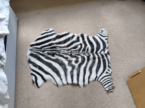 Zebra print skin rug hide - zebra,