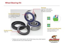 Rear wheel bearing kit ALL
