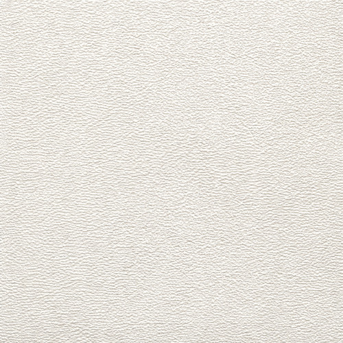 Caravan ceiling wallboard - ceiling,