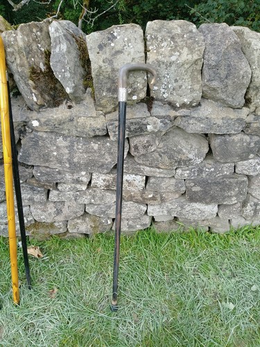 Victorian ebony silver and - ebony,,