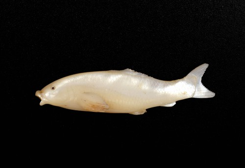1930 japanese mother pearl - japanese,