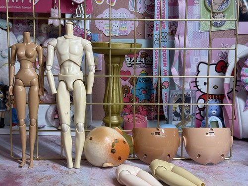 Pullip blythe doll parts - pullip,