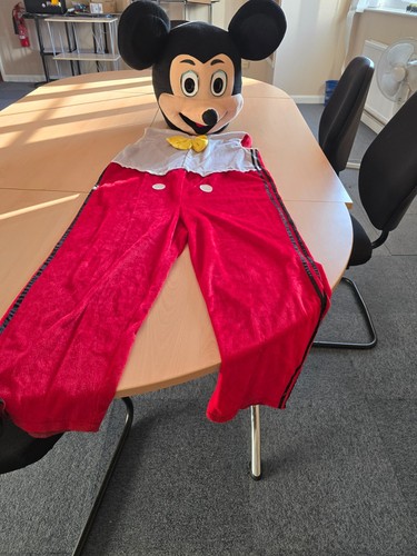 Full mickey mouse fancy dress - full,