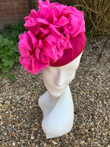 Pink rose ascot racing - rose, or