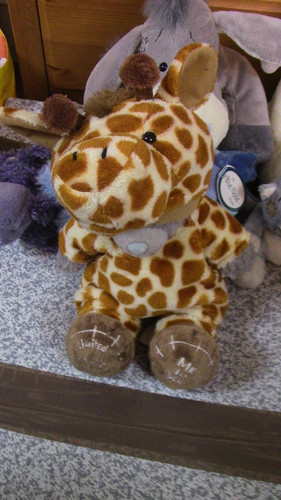 You tatty teddy - you, 8"