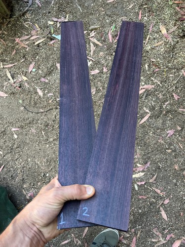 Indian rosewood string - indian, bass