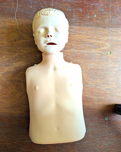 Adult torso cpr manikin - torso,