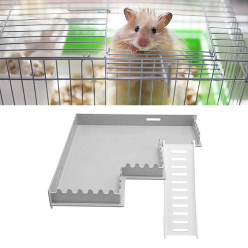 Hamster standing platform - hamster,