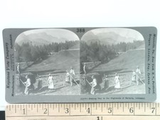 Making Hay in the Highlands of