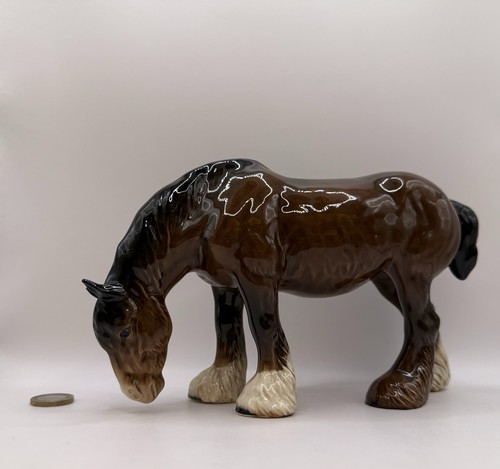 Beswick grazing shire - grazing,