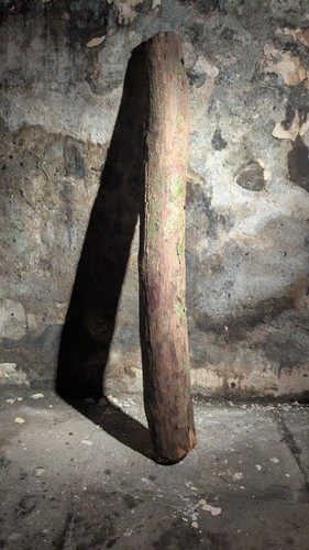 Large yew stave - stave, timber