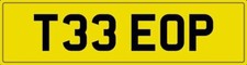 THEO NUMBER PLATE THEOS