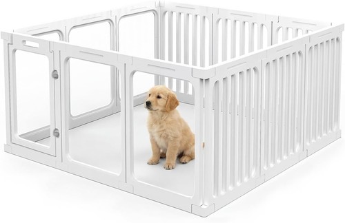 Transparent acrylic dog - transparent,