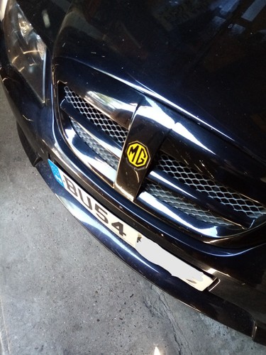 Front grille x - grille,