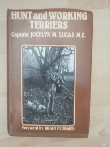 Hunt and working terriers - hunt,