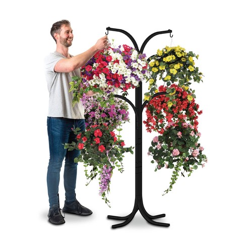 Bishop flower hanging basket - hanging,