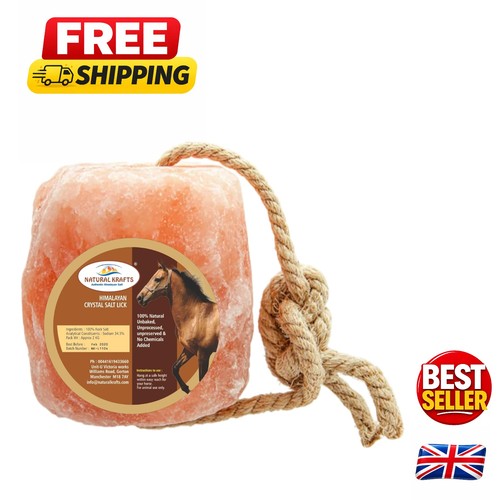 Himalayan salt lick for - himalayan,